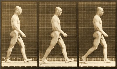 Image Sequence of a Nude Man Walking, 